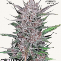 OG KUSH – купити у Coffeeshop.ua